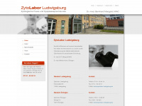 zytolabor-ludwigsburg.de Webseite Vorschau