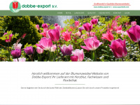 dobbe-export.nl Webseite Vorschau