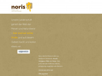 noris-fliesen.de Webseite Vorschau