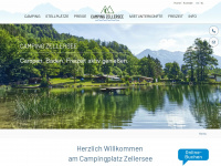 camping-zellersee.de Webseite Vorschau