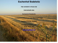 eschenhof-bodelwitz.de Webseite Vorschau
