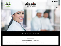 ferdin-catering.de Webseite Vorschau