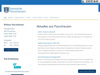 paunzhausen.de Webseite Vorschau