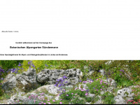 alpengarten-suendermann.de Webseite Vorschau