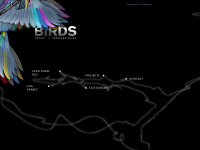 birds-webdesign.de Webseite Vorschau