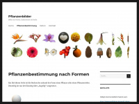 pflanzenbilder.de Webseite Vorschau