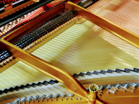 klavierladen.com Webseite Vorschau