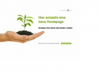 aussem.com Webseite Vorschau