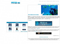 patcoinc.com Webseite Vorschau