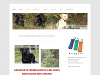 st-hubertus.ch Webseite Vorschau