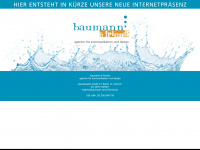 baumann-and-friends.de Webseite Vorschau