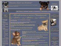 chihuahua-vom-wichtelhof.de Webseite Vorschau