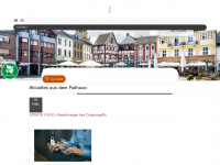 euskirchen.de Webseite Vorschau