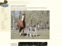 ponyland-welsh-pony.de Webseite Vorschau