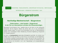 buergerprojekte.de