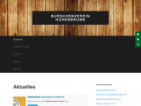 bv-hohenbrunn.de Webseite Vorschau