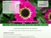 pegasus-pflanzen.de Webseite Vorschau