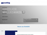 dombuehl.de Webseite Vorschau