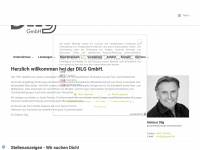 dilg-gmbh.de Webseite Vorschau