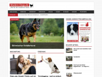 shop.modern-dogs.de Webseite Vorschau