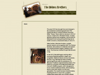 theholmesbrothers.com Webseite Vorschau