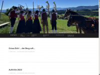 dorfmusik-diepolz.de Webseite Vorschau