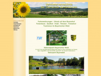bayerischerwald-online.de Webseite Vorschau