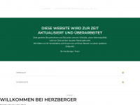 herzberger.de Webseite Vorschau