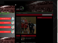 handball-esv.de Webseite Vorschau