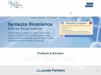 syntezza.com Webseite Vorschau