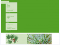 aromaforum-oesterreich.at Webseite Vorschau