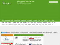 infoest.ro Webseite Vorschau