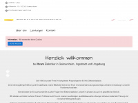 habermeier-elektro.de Webseite Vorschau