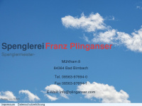 plinganser.com