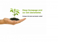 hansschinabeck.de Webseite Vorschau