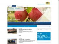 reg-opf.de Webseite Vorschau