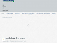 heizoel-bruckmayer.de Webseite Vorschau
