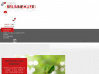 heizoel-brunnbauer.de Webseite Vorschau