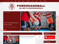 powerhandball.de Thumbnail