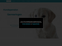 hundepension-germaringen.de Webseite Vorschau