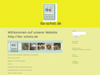 Ibs-scholz.de