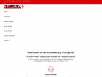 truninger-ag.ch Webseite Vorschau