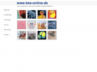 kes-online.de