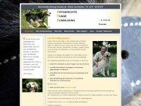 aha-hundeerziehung-dresden.de Webseite Vorschau