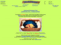 babykorb.com Webseite Vorschau