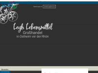 leyh.de Webseite Vorschau