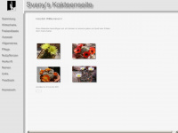 sveny.net Webseite Vorschau