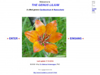 The-genus-lilium.com