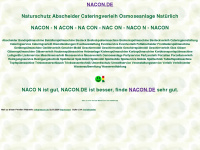 nacon.de Webseite Vorschau