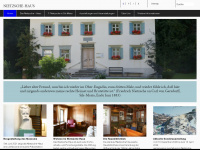 nietzschehaus.ch Webseite Vorschau